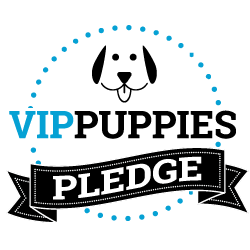 vip puppies pledge
