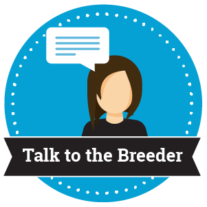 talk to the breeder